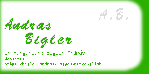 andras bigler business card